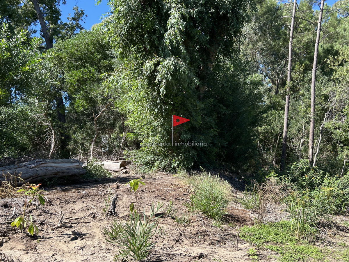 Terreno ID.233 - Venta terreno Punta colorada oportunidad