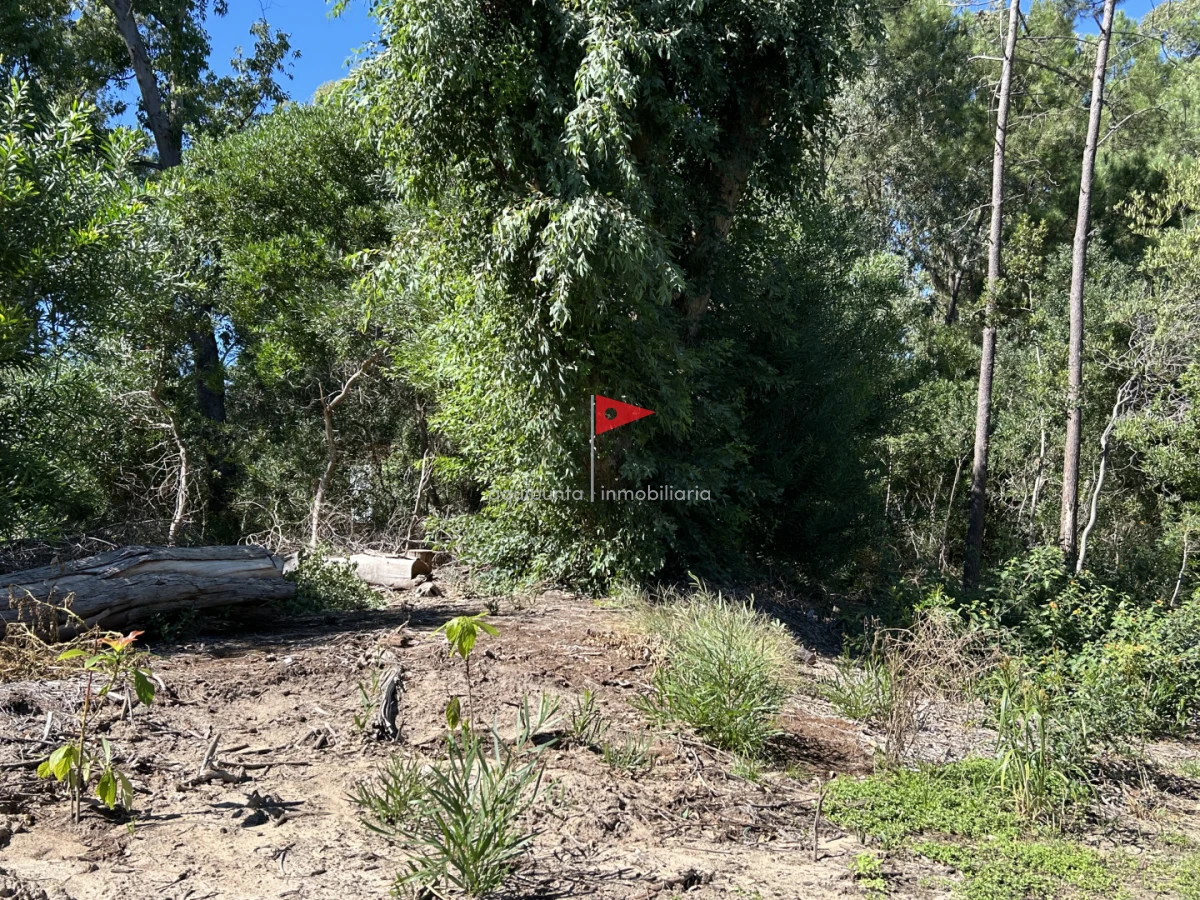 Terreno ID.233 - Venta terreno Punta colorada oportunidad