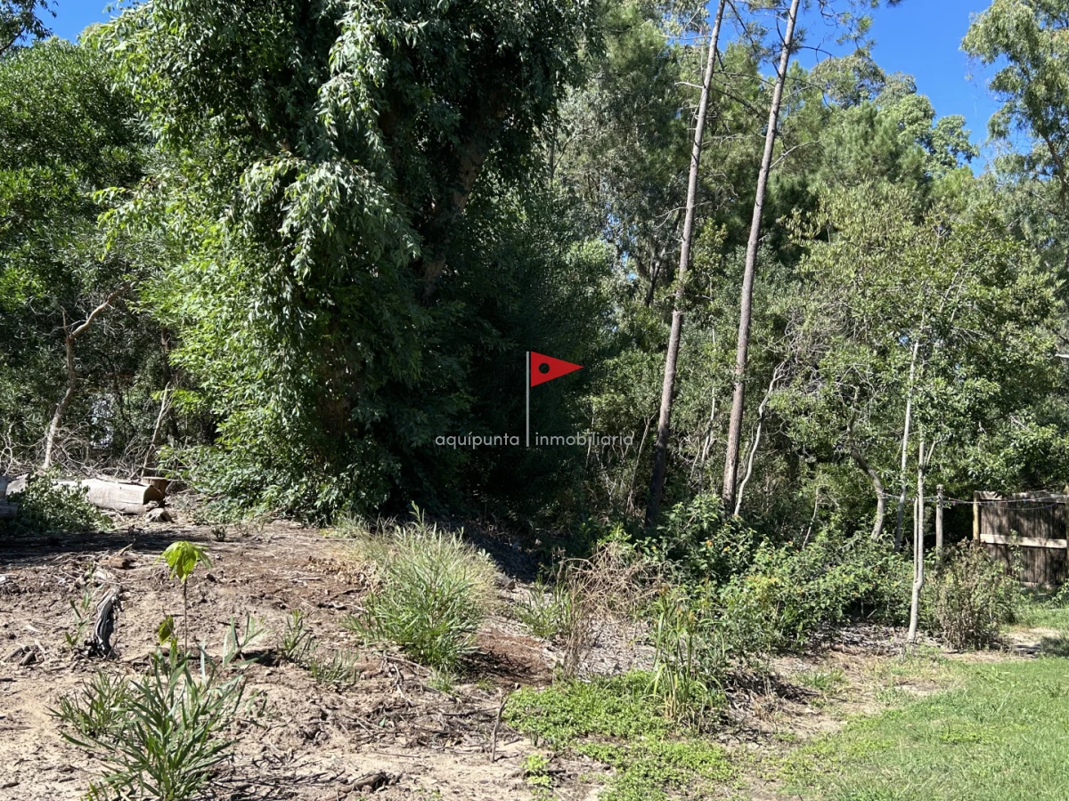 Terreno ID.233 - Venta terreno Punta colorada oportunidad