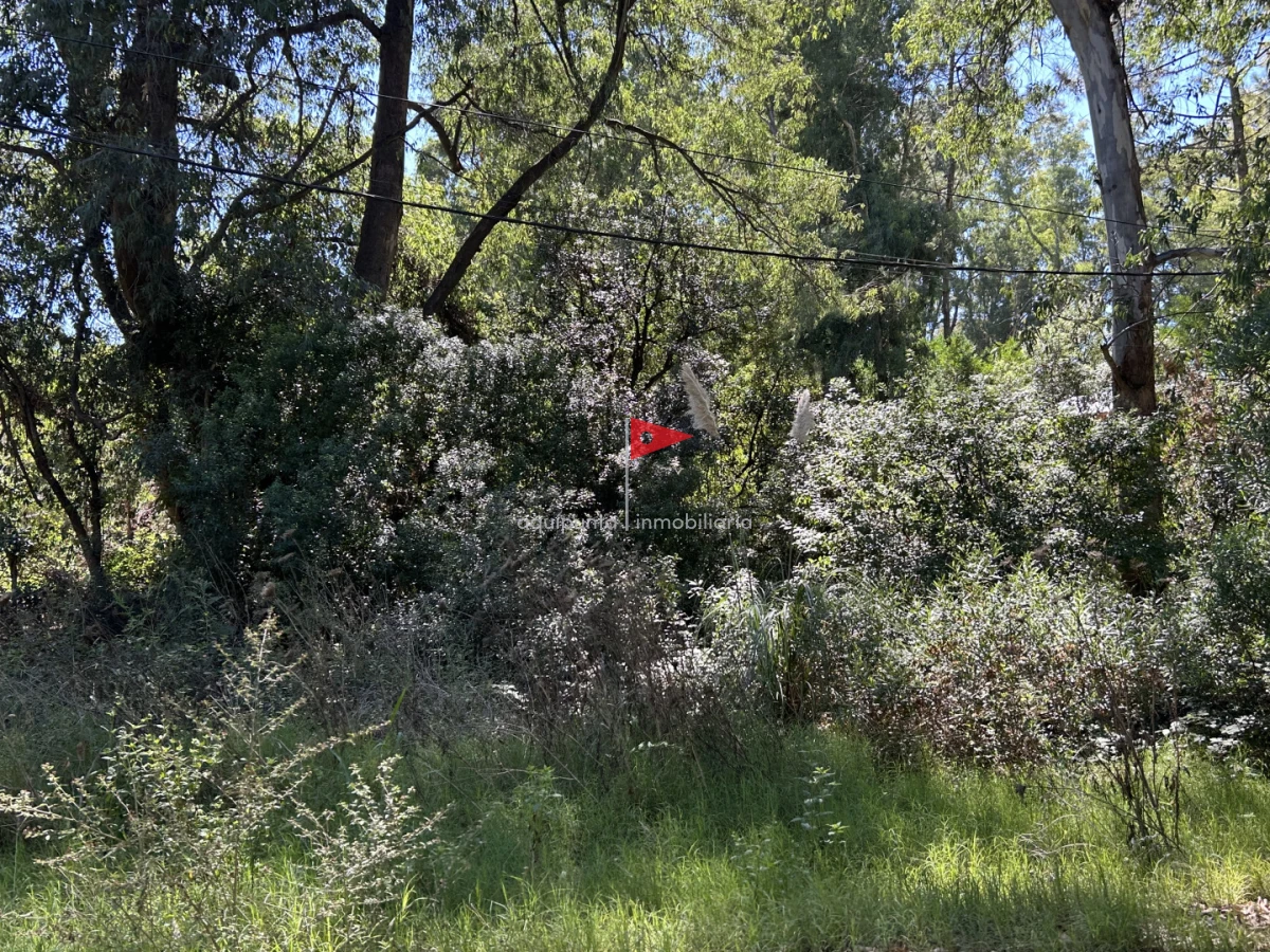 Terreno ID.233 - Venta terreno Punta colorada oportunidad