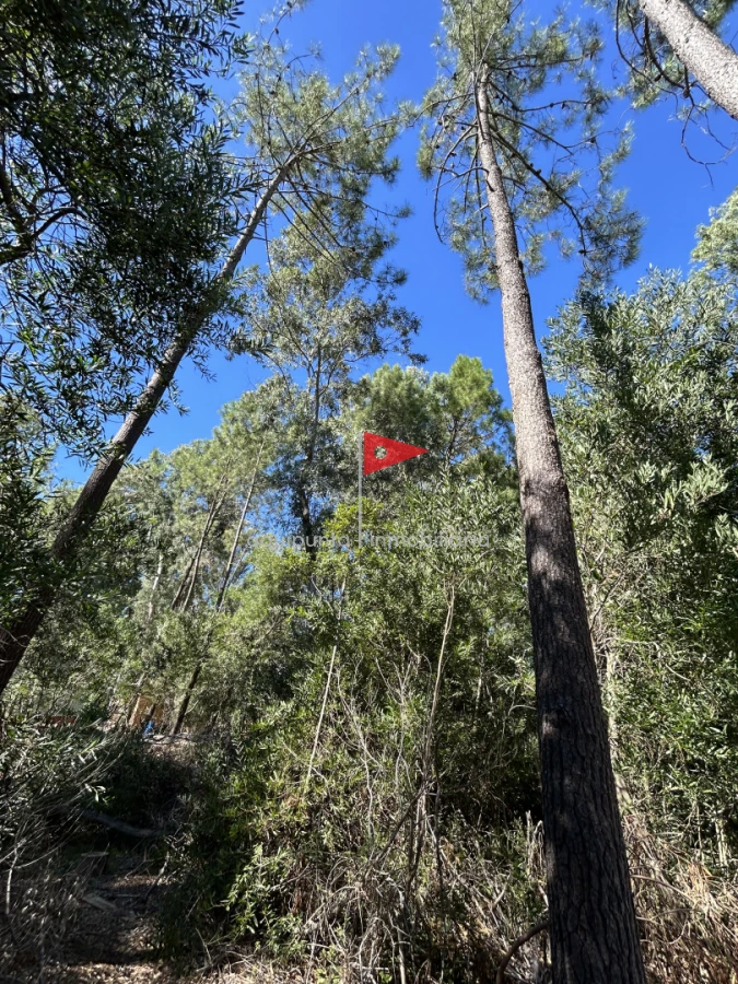 Terreno ID.233 - Venta terreno Punta colorada oportunidad