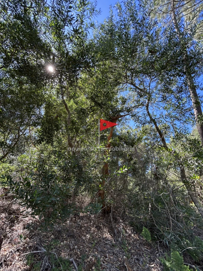 Terreno ID.233 - Venta terreno Punta colorada oportunidad