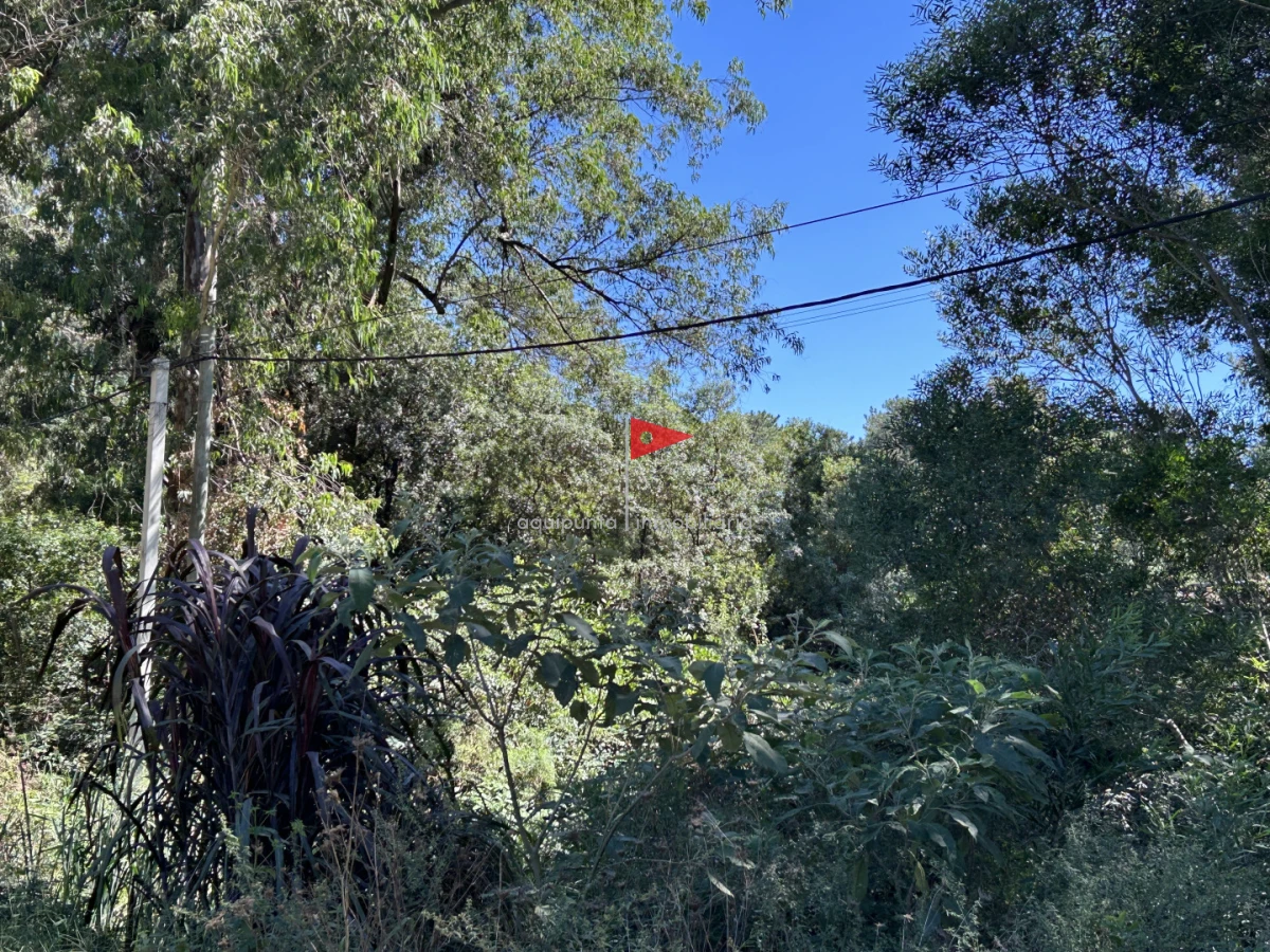 Terreno ID.233 - Venta terreno Punta colorada oportunidad