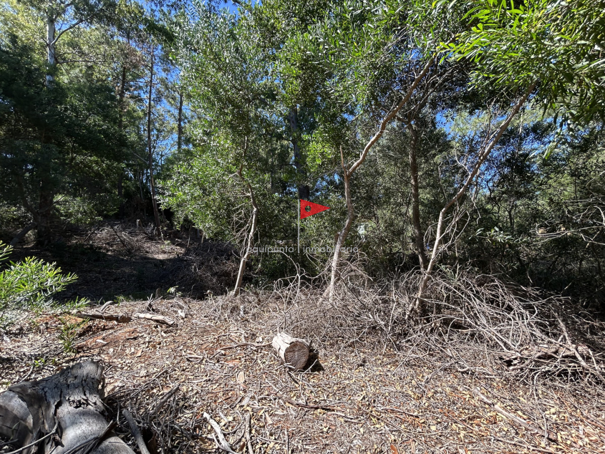 Terreno ID.233 - Venta terreno Punta colorada oportunidad