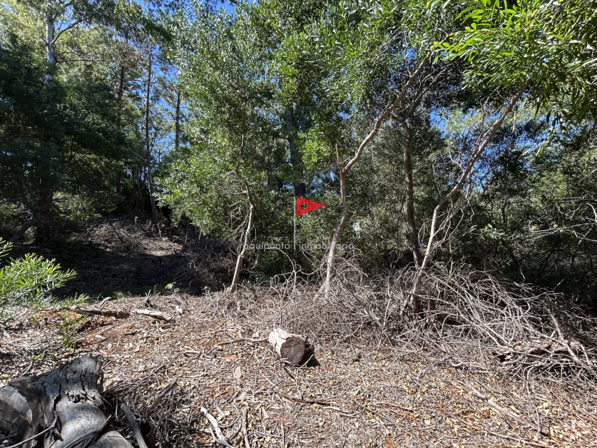 Terreno ID.233 - Venta terreno Punta colorada oportunidad