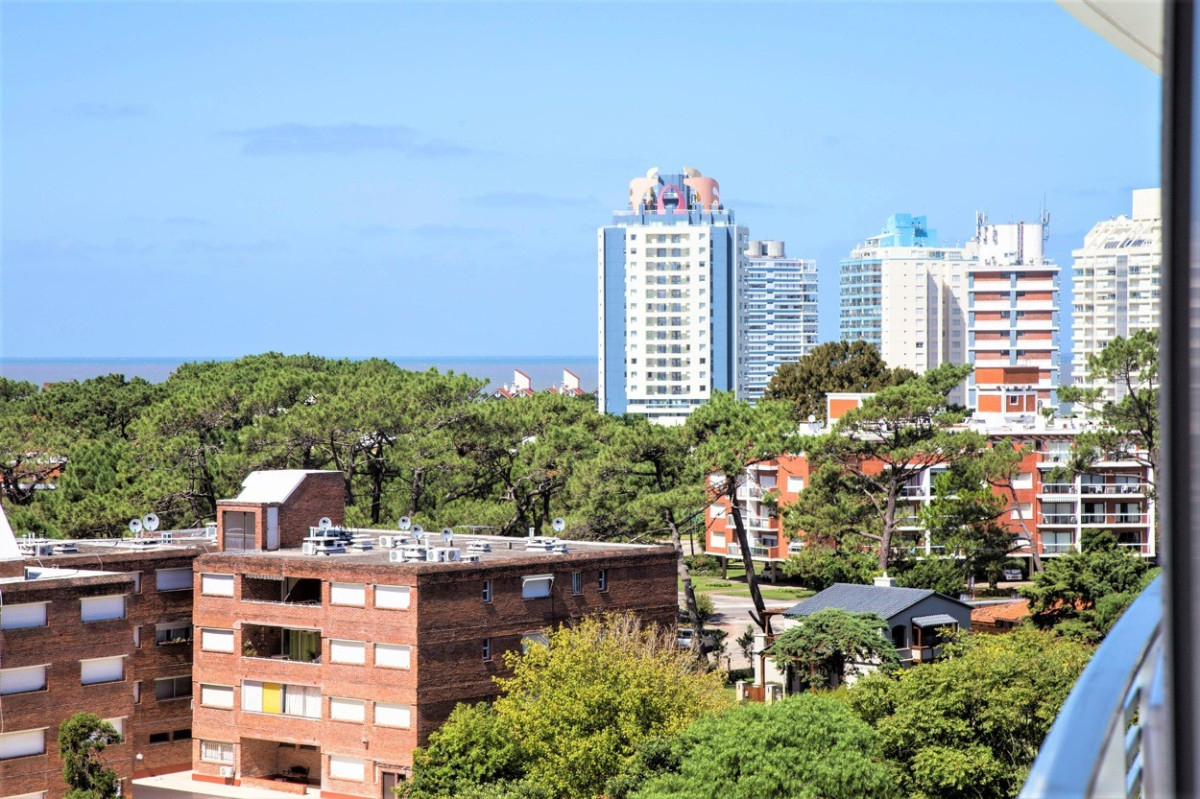 Apartamento ID.118 - Moderno Apartamento 2 Dormitorios. Alexander Boulevard, Punta del Este