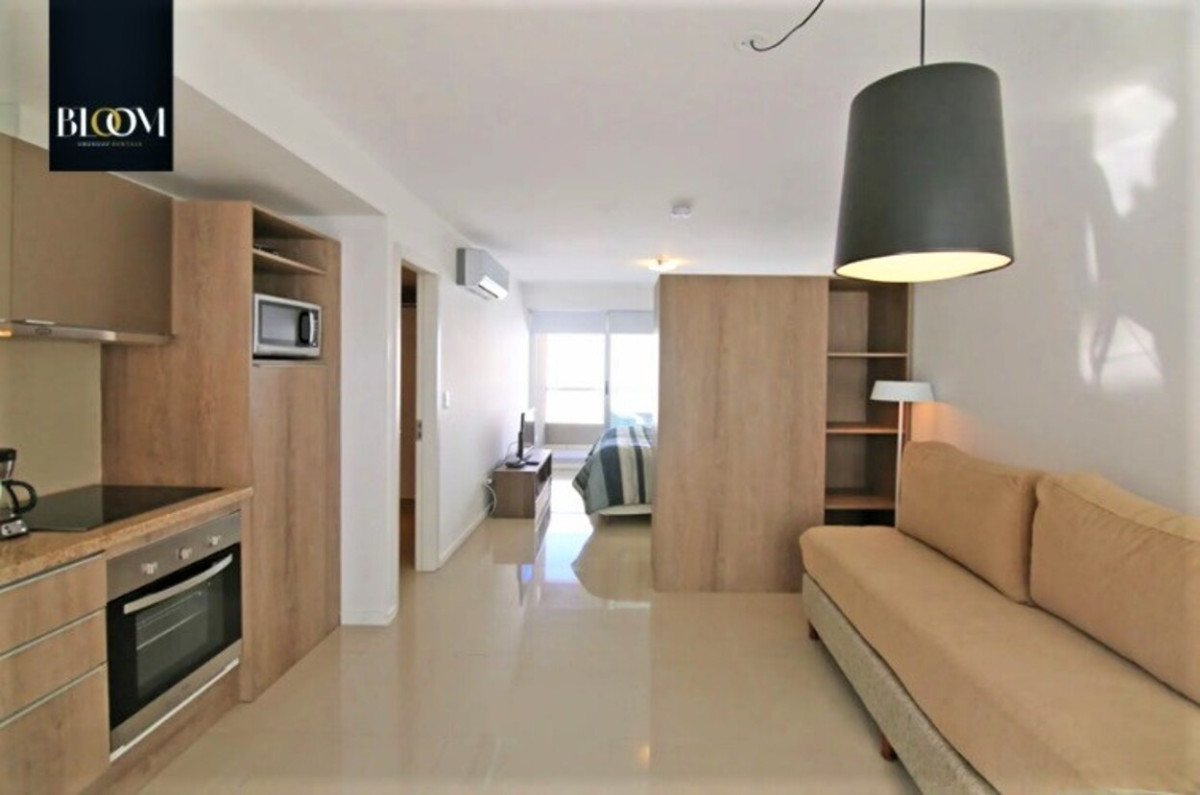 Apartamento ID.16 - Confortable Monoambiente, Gala Puerto, Punta del Este