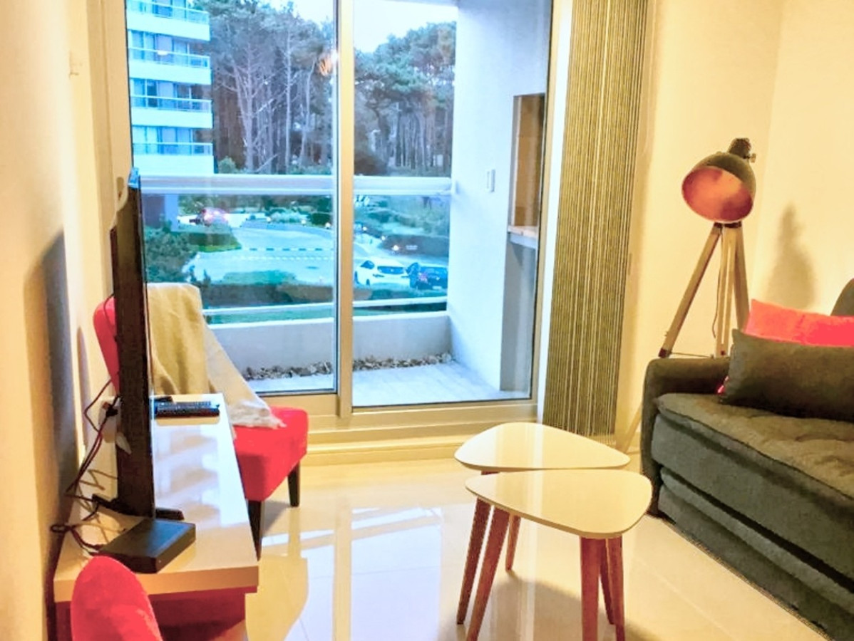 Apartamento ID.193 - Hermoso apartamento 1 dormitorio, Look Brava