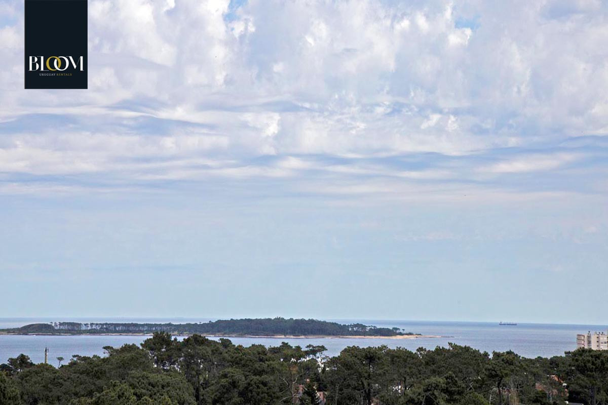 Apartamento ID.82 - Hermoso apartamento de 1 Dormitorio, Yoo