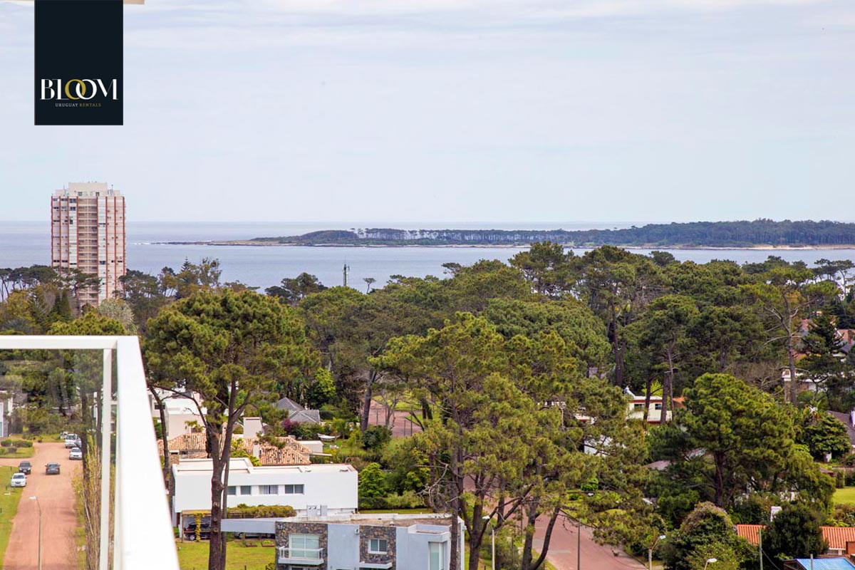 Apartamento ID.82 - Hermoso apartamento de 1 Dormitorio, Yoo