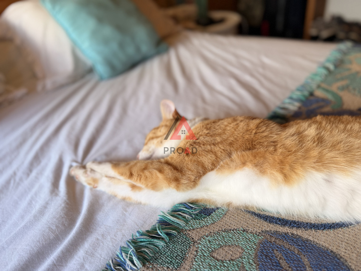 Casa ID.10 - Casa en venta en Ocean Park 4 dormitorios cerca del mar 