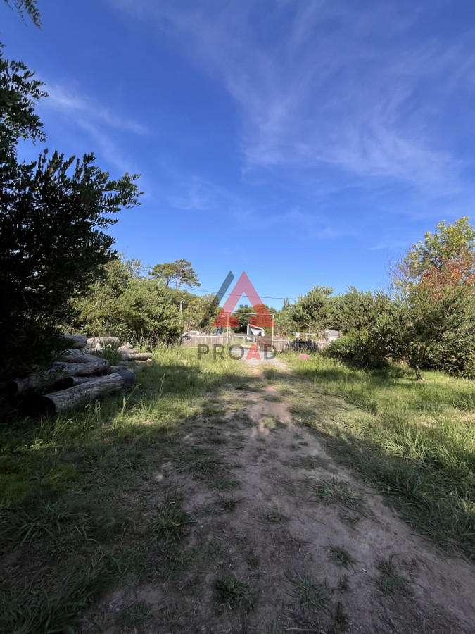 Casa ID.13 - Hermosa TINY HOUSE en Ocean Park 
