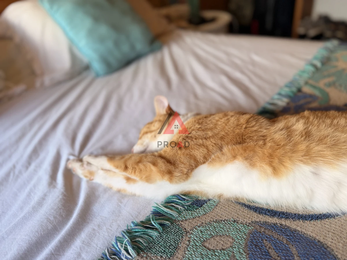 Casa ID.10 - Casa en venta en Ocean Park 4 dormitorios cerca del mar 