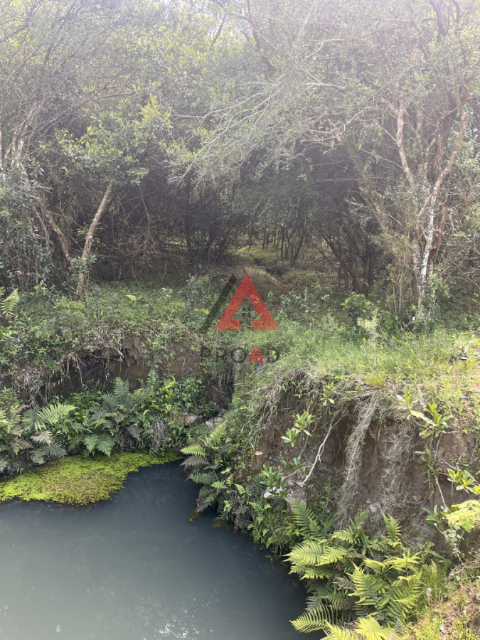 Chacra ID.76 - Chacra de 6.3 hectáreas en Sierra de los Caracoles, Altos de Carapé 