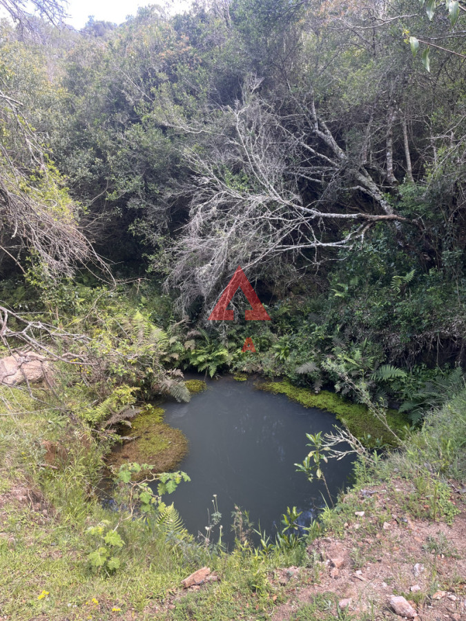 Chacra ID.76 - Chacra de 6.3 hectáreas en Sierra de los Caracoles, Altos de Carapé 