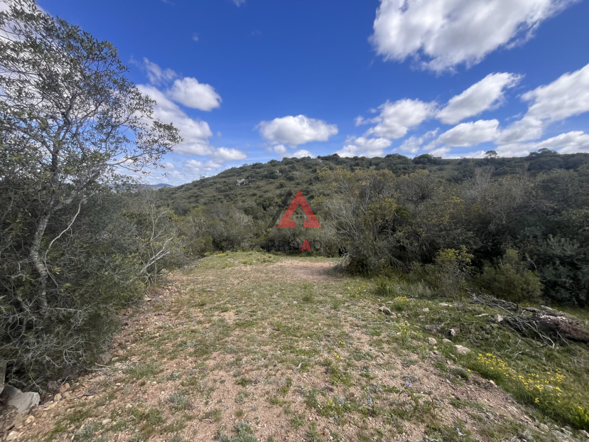 Chacra ID.76 - Chacra de 6.3 hectáreas en Sierra de los Caracoles, Altos de Carapé 