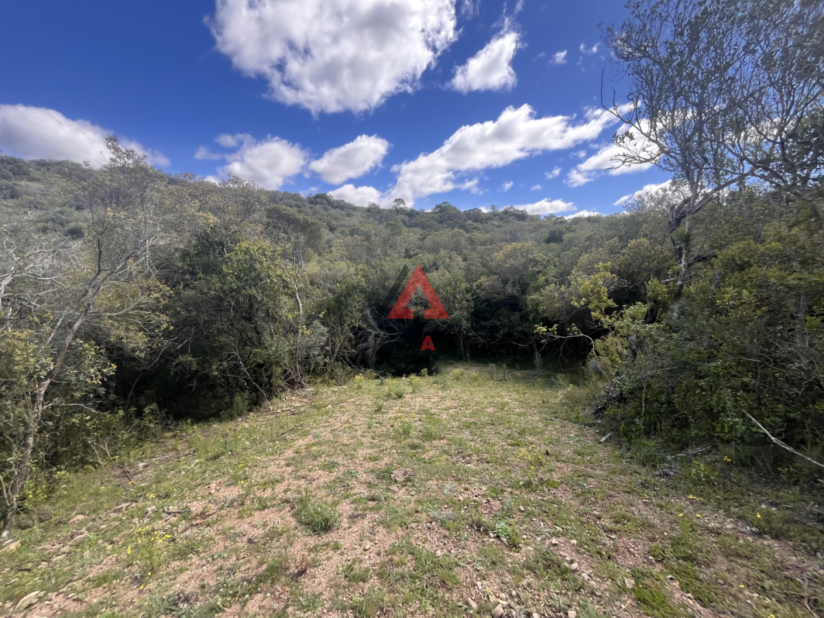 Chacra ID.76 - Chacra de 6.3 hectáreas en Sierra de los Caracoles, Altos de Carapé 