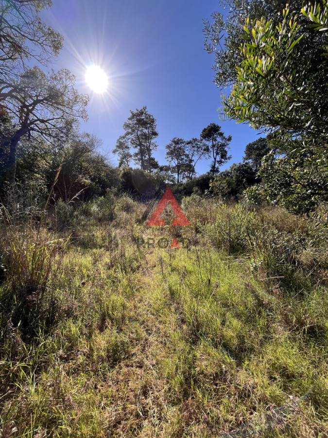 Terreno ID.28 - Terreno en venta en Ocean park Vegetación nativa 