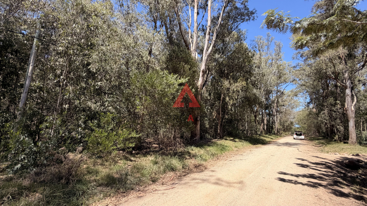 Terreno ID.110 - Dos terrenos en venta en Sauce de portezuelo 