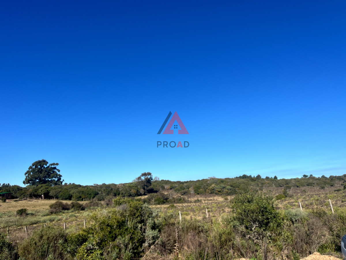 Terreno ID.39 - Chacra en el Pejerrey FRENTE A LA LAGUNA 