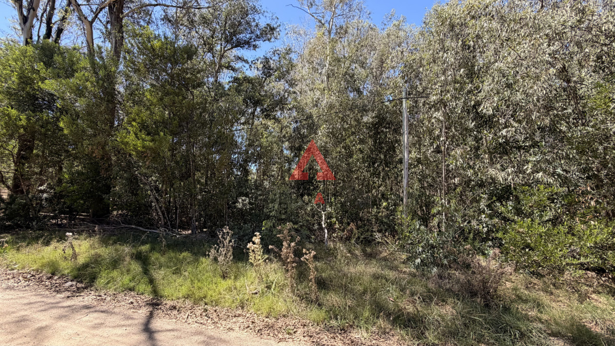 Terreno ID.110 - Dos terrenos en venta en Sauce de portezuelo 