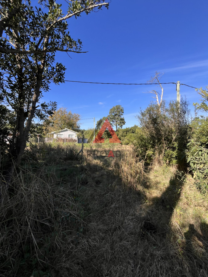 Terreno ID.28 - Terreno en venta en Ocean park Vegetación nativa 