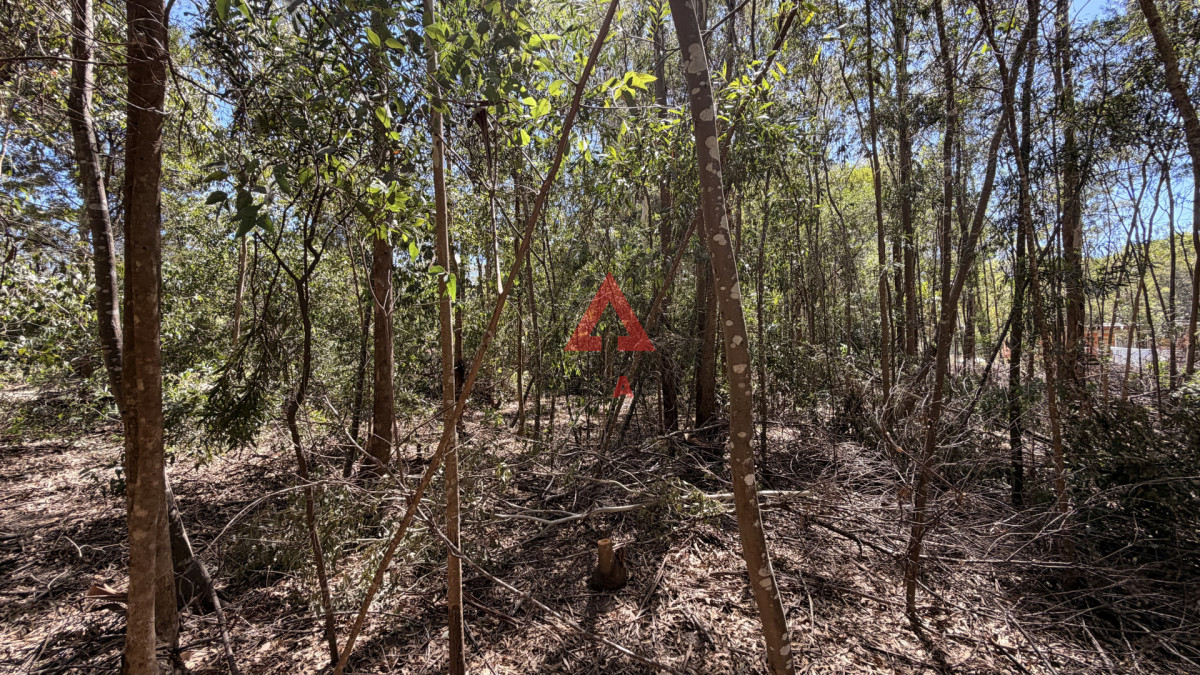 Terreno ID.110 - Dos terrenos en venta en Sauce de portezuelo 