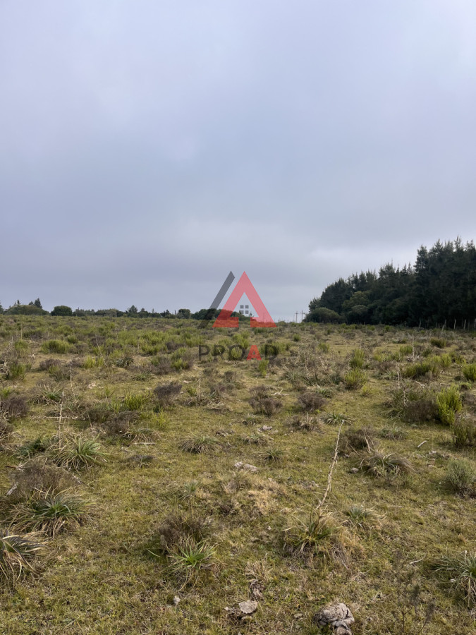 Terreno ID.39 - Chacra en el Pejerrey FRENTE A LA LAGUNA 