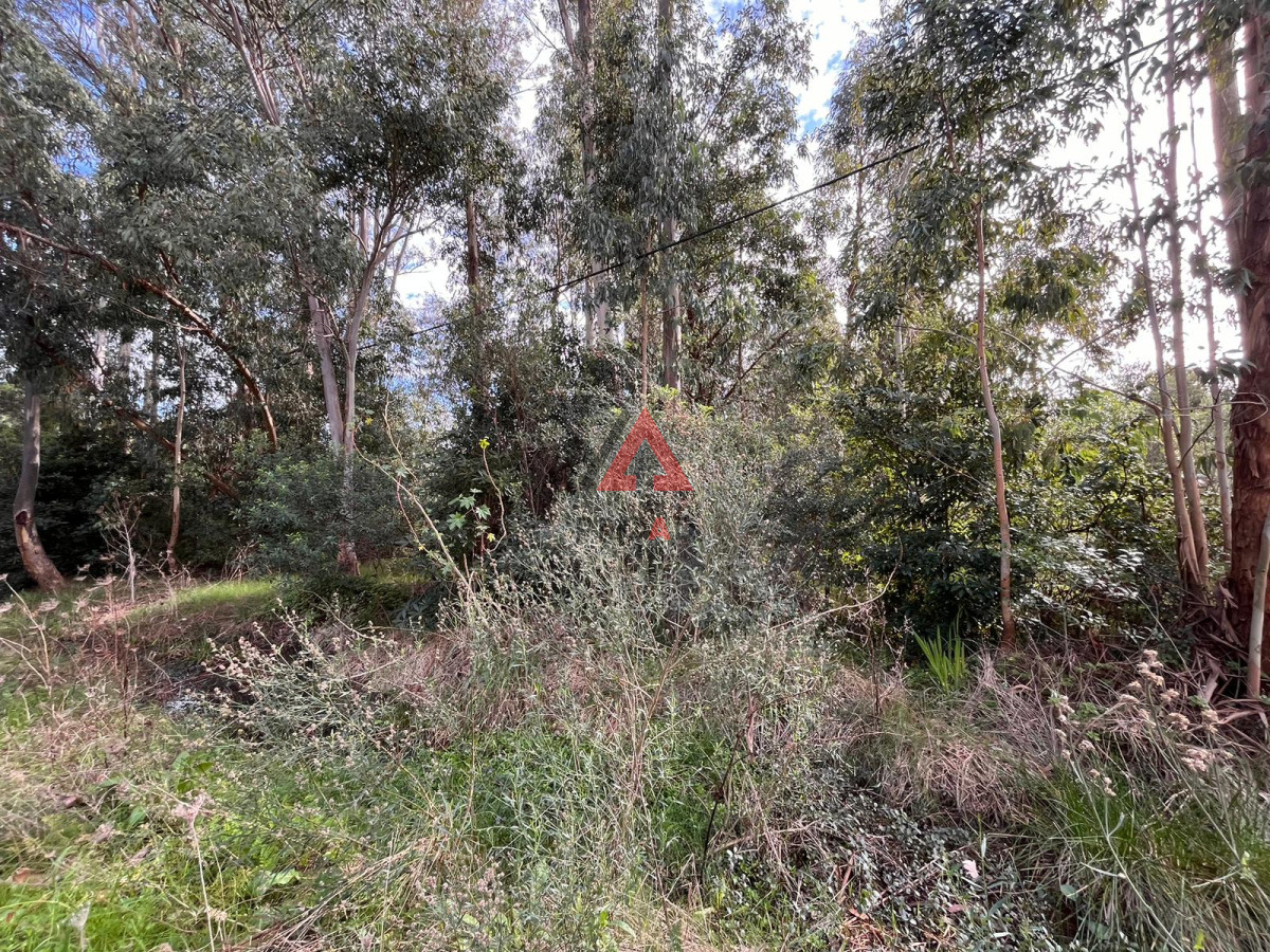 Terreno ID.14 - Amplio terreno