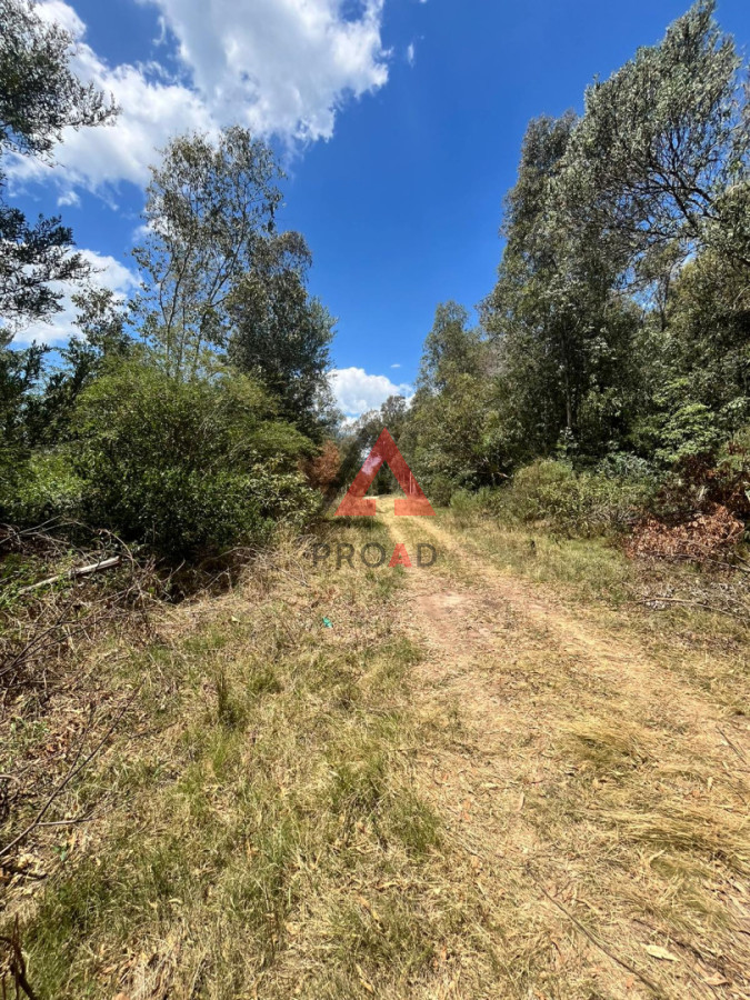 Terreno ID.104 - Terreno Sauce de Portezuelo