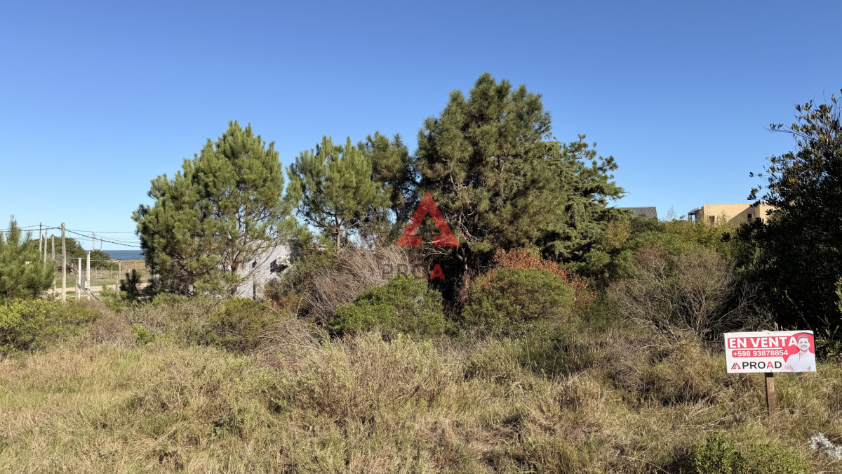 Terreno ID.1 - Terreno a 50mts del mar! 450m2 ubicado en Ocean Park 