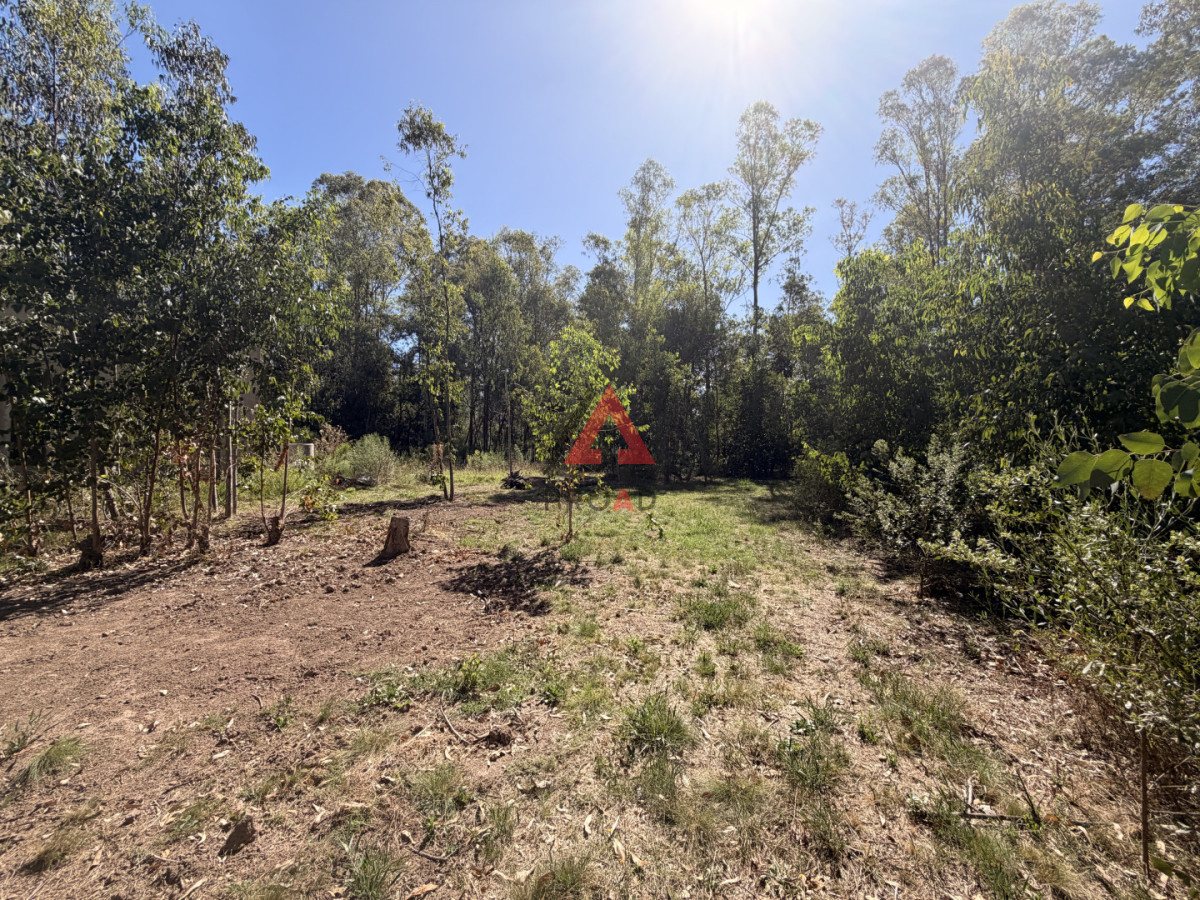 Terreno ID.105 - terreno en venta en sauce de portezuelo 600m2 