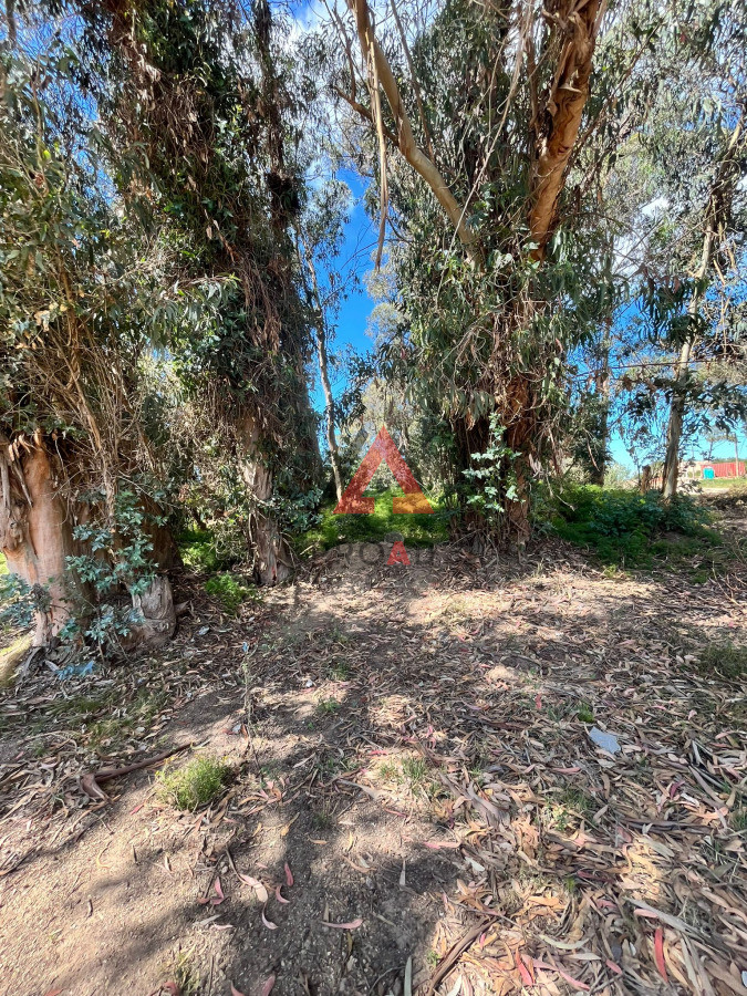 Terreno ID.64 - Esquinero en Ocean Park