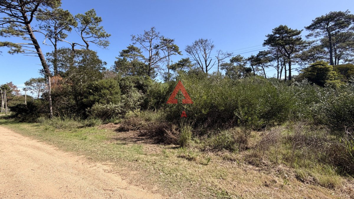 Terreno ID.118 - Terreno en venta en ocean Park 1000m2 en el centro del balneario 