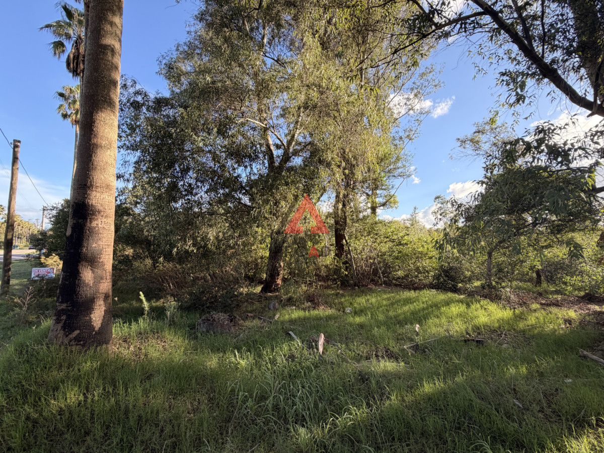 Terreno ID.120 - Terreno en venta en sauce de portezuelo avenida principal y ruta