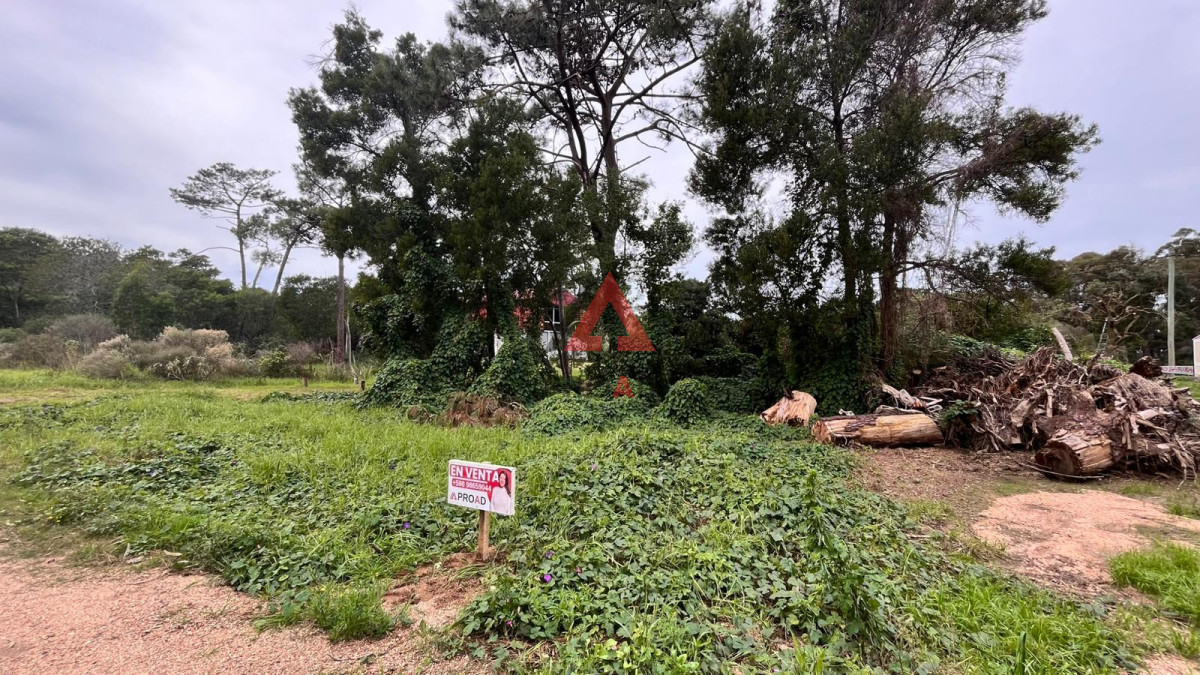 Terreno ID.125 - Terreno en Ocean Park 720 m2