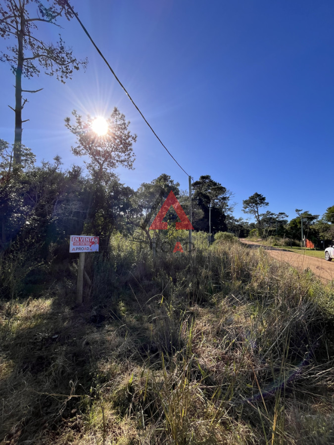 Terreno ID.28 - Terreno en venta en Ocean park Vegetación nativa 
