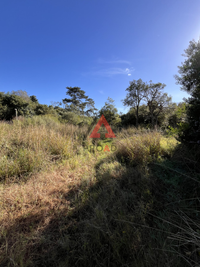 Terreno ID.28 - Terreno en venta en Ocean park Vegetación nativa 