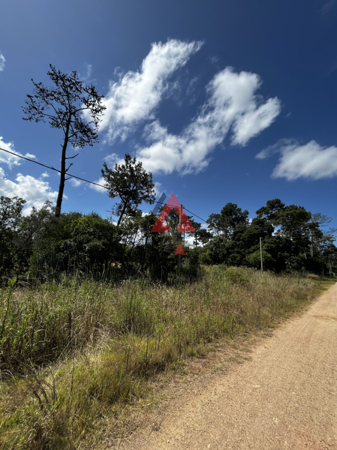 Terreno ID.28 - Terreno en venta en Ocean park Vegetación nativa 