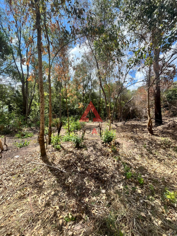 Terreno ID.104 - Terreno Sauce de Portezuelo