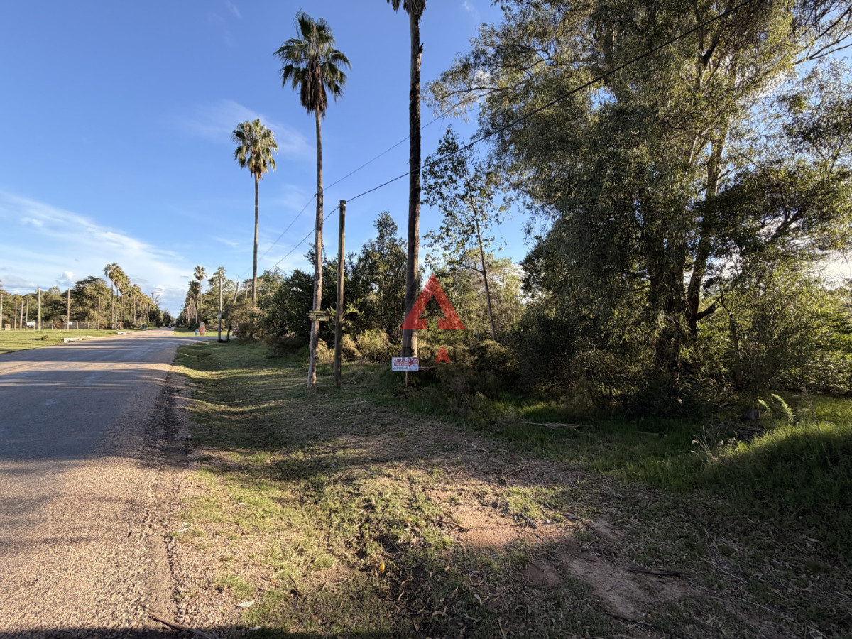 Terreno ID.120 - Terreno en venta en sauce de portezuelo avenida principal y ruta