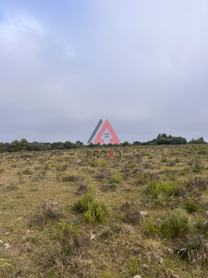 Terreno ID.39 - Chacra en el Pejerrey FRENTE A LA LAGUNA 