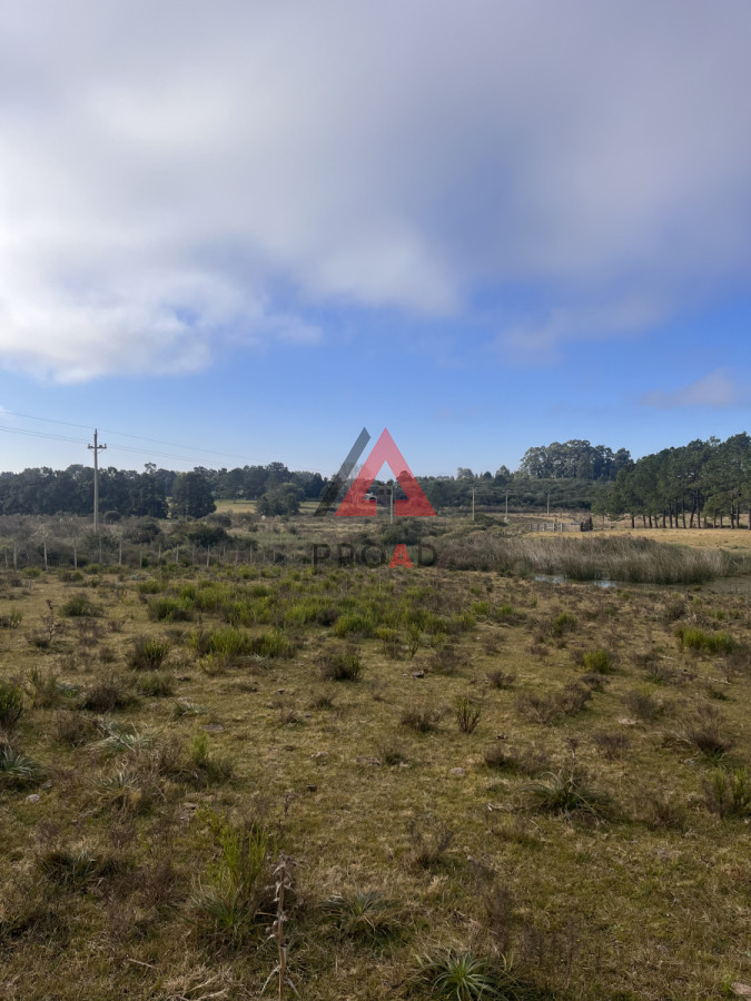 Terreno ID.39 - Chacra en el Pejerrey FRENTE A LA LAGUNA 