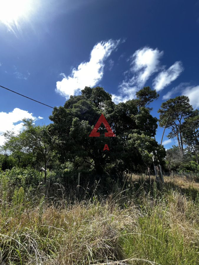 Terreno ID.28 - Terreno en venta en Ocean park Vegetación nativa 