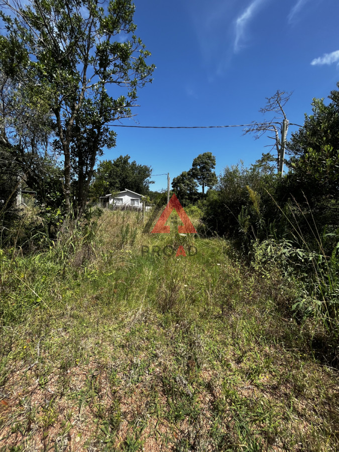 Terreno ID.28 - Terreno en venta en Ocean park Vegetación nativa 