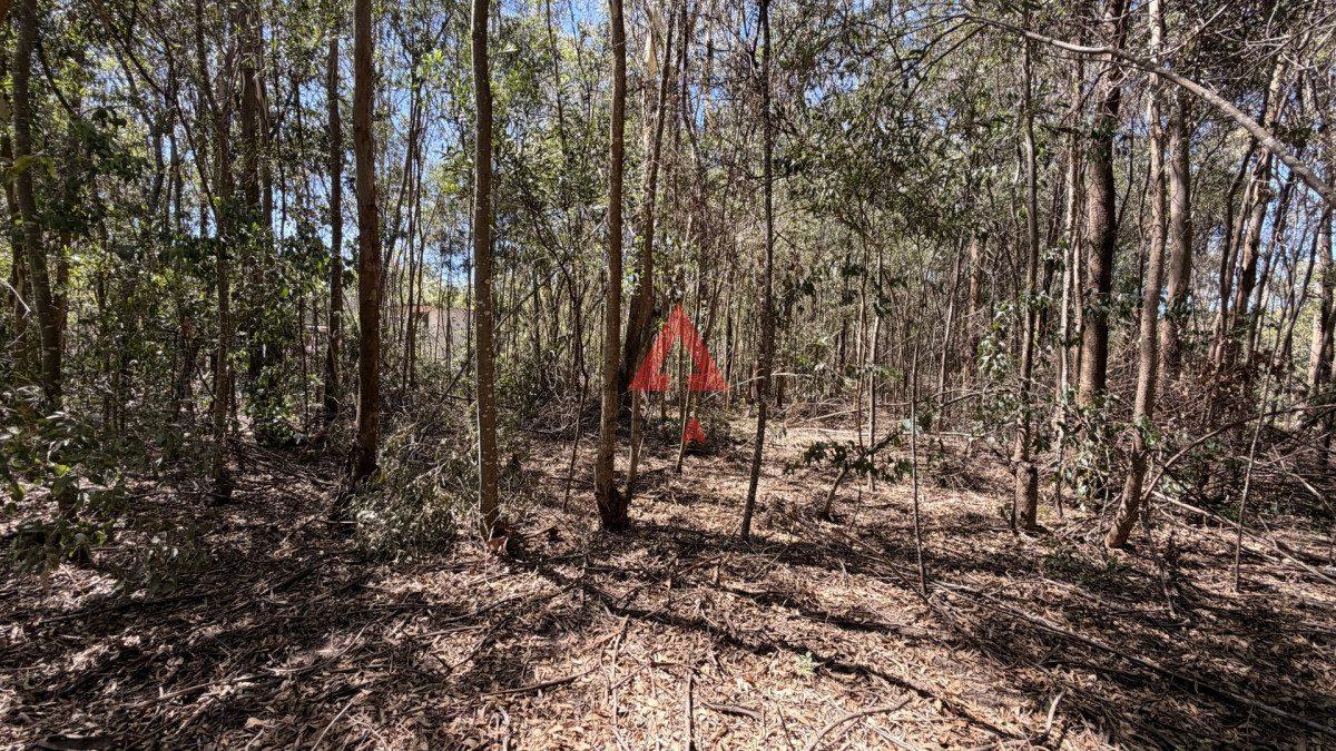 Terreno ID.110 - Dos terrenos en venta en Sauce de portezuelo 