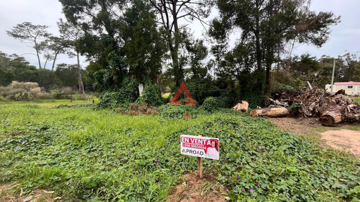Terreno ID.125 - Terreno en Ocean Park 720 m2