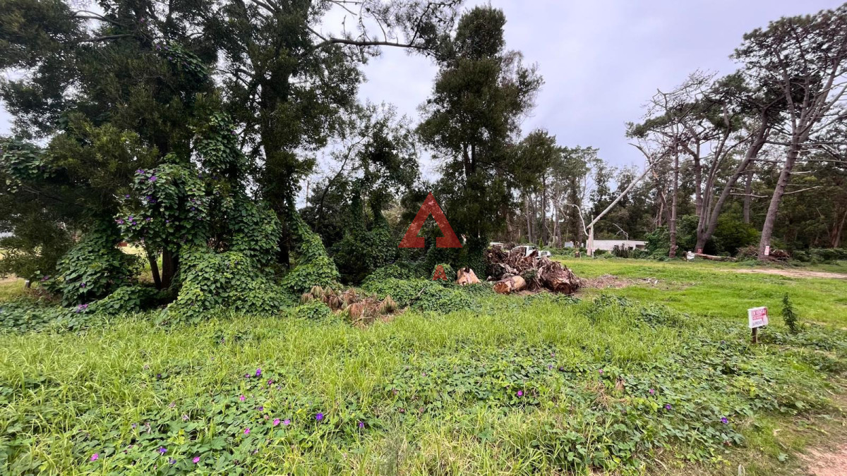 Terreno ID.125 - Terreno en Ocean Park 720 m2