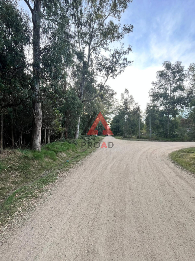 Terreno ID.89 - Terreno en Sauce de Portezuelo