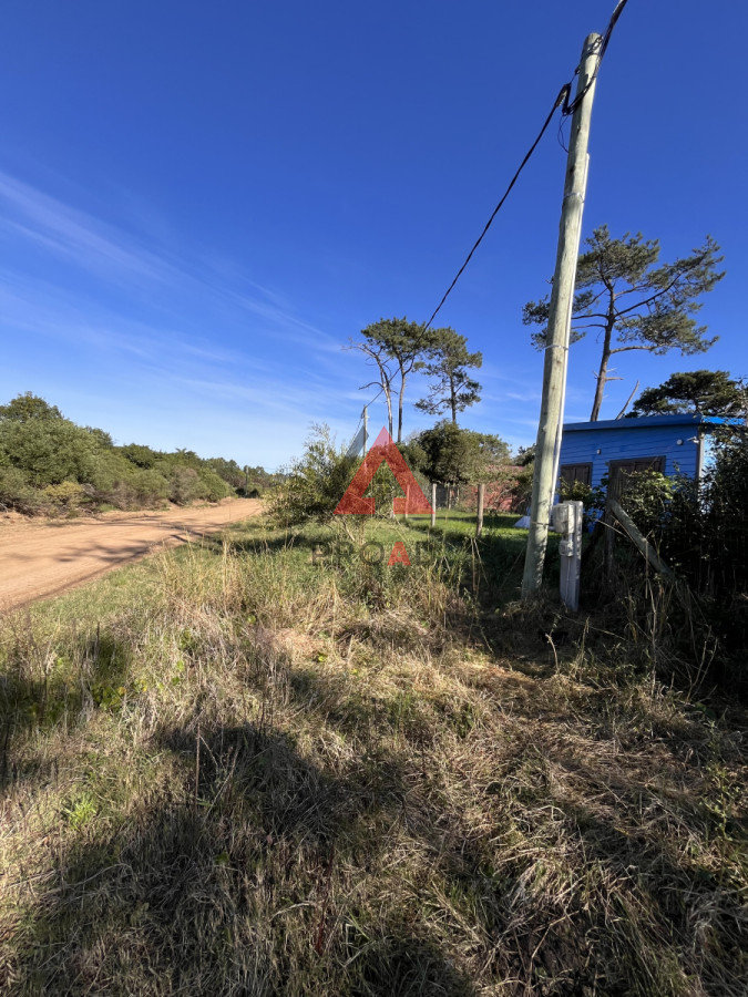 Terreno ID.28 - Terreno en venta en Ocean park Vegetación nativa 